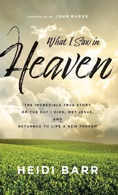 What I Saw in Heaven - Heidi Barr