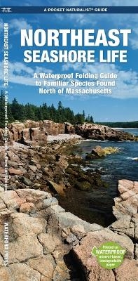 Northeast Seashore Life -  Waterford Press, James Kavanagh