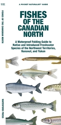 Fishes of the Canadian North -  Waterford Press, Matthew Morris