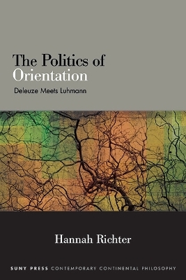 The Politics of Orientation - Hannah Richter