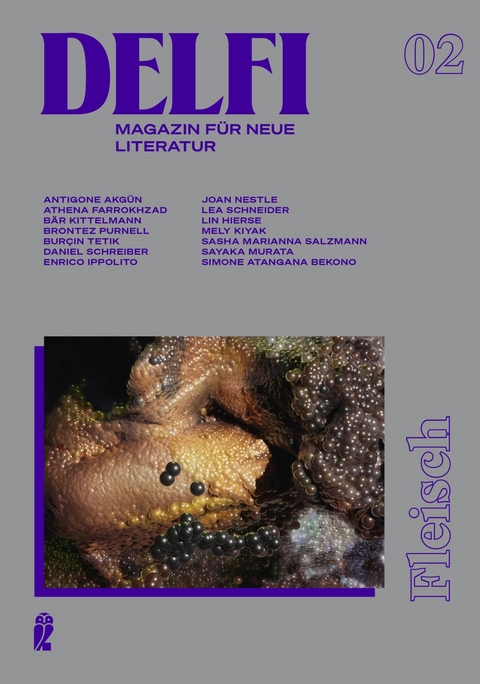 Delfi Fleisch (Delfi 2) - Daniel Schreiber, Antigone Akgün, Athena Farrokhzad, Bär Kittelmann, Brontez Purnell, Burçin Tetik, Enrico Ippolito, Joan Nestle, Lea Schneider, Lin Hierse, Mely Kiyak, Sasha Marianna Salzmann, Sayaka Murata, Simone Atangana Bekono