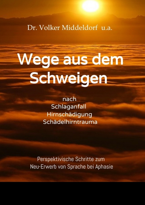 Wege aus dem Schweigen - nach Schlaganfall, Hirnschädigung, Schädelhirntrauma - Volker Middeldorf