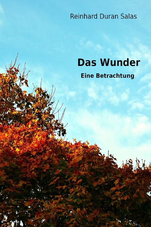 Das Wunder - Reinhard Duran Salas