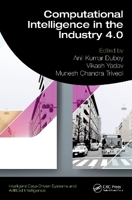 Computational Intelligence in the Industry 4.0 - 