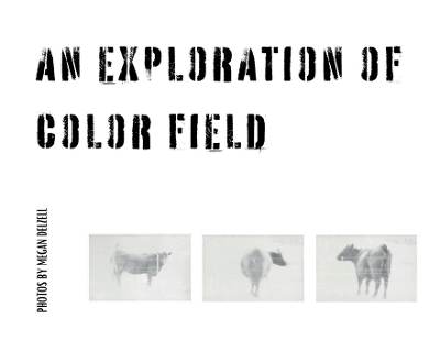 An Exploration In Color Field - Megan Delzell