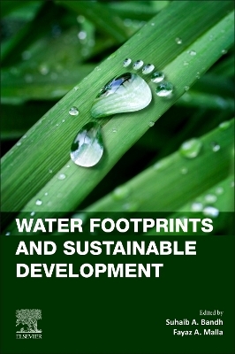 Water Footprints and Sustainable Development - 