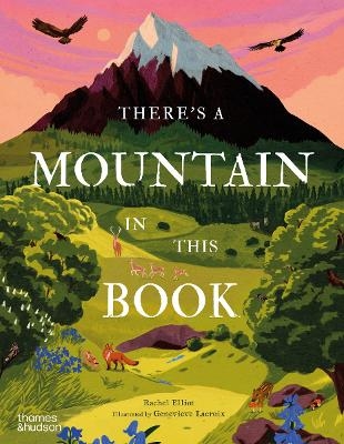 There's a Mountain in This Book - Rachel Elliot