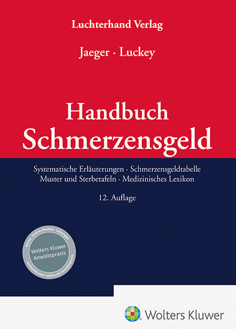 Handbuch Schmerzensgeld