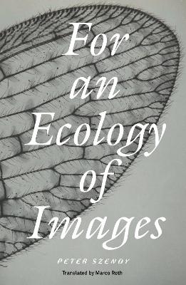 For an Ecology of Images - Peter Szendy