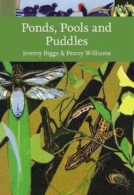 Ponds, Pools and Puddles - Jeremy Biggs, Penny Williams