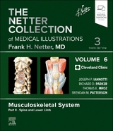 The Netter Collection of Medical Illustrations: Musculoskeletal System, Volume 6, Part II - Spine and Lower Limb - Iannotti, Joseph P; Parker, Richard; Mroz, Tom; Patterson, Brendan; Abelson, Abby