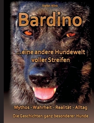 Bardino - Stefan Klink