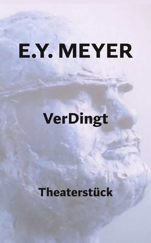 VerDingt - E. Y. Meyer