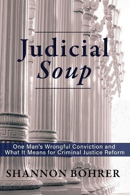 Judicial Soup - Shannon Bohrer