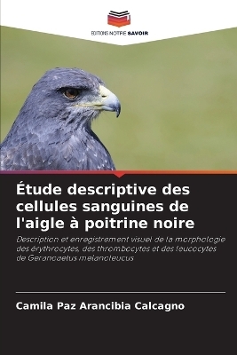 Étude descriptive des cellules sanguines de l'aigle à poitrine noire - Camila Paz Arancibia Calcagno