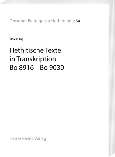 Hethitische Texte in Transkription Bo 8916–Bo 9030 - İlknur Taş