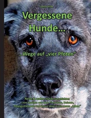 Vergessene Hunde - Stefan Klink