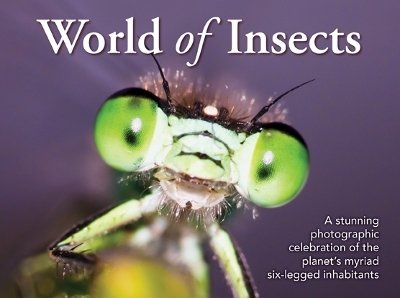 World of Insects -  New Holland Publishers