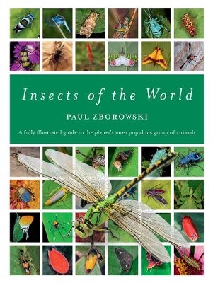 Insects of the World - Paul Zborowski