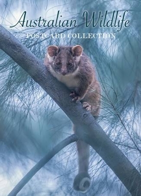 Australian Wildlife Postcard Collection