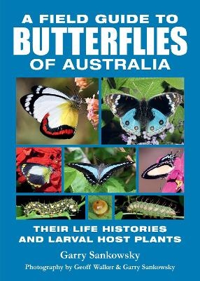 Field Guide to Butterflies of Australia - Garry Sankowsky, Geoff Walker