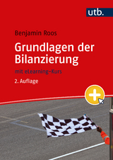 Grundlagen der Bilanzierung - Benjamin Roos