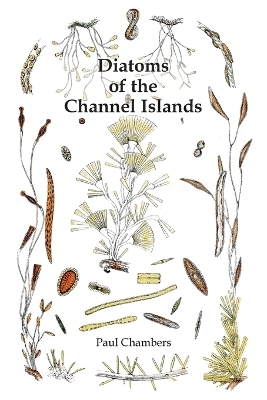 Diatoms of the Channel Islands - Paul Chambers