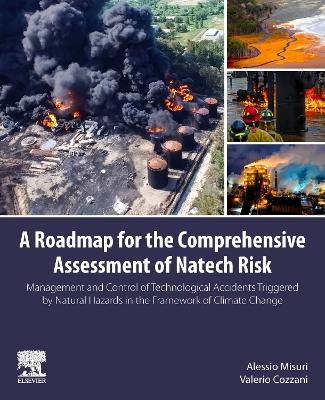 A Roadmap for the Comprehensive Assessment of Natech Risk - Alessio Misuri, Valerio Cozzani