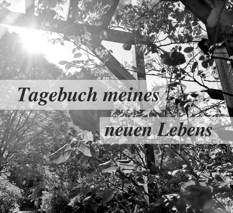 Tagebuch meines neuen Lebens - Julia Bittner