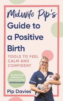 Midwife Pip’s Guide to a Positive Birth - Pip Davies