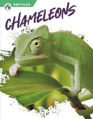 Chameleons - Megan Gendell