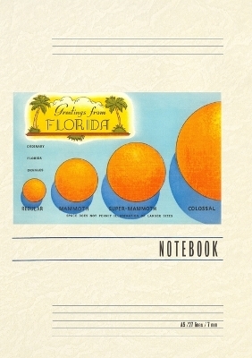 Vintage Lined Notebook Greetings from Florida, Orange Sizing