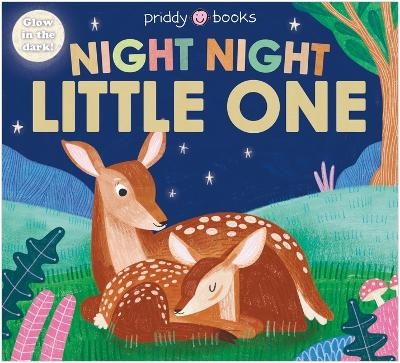 Night Night Books: Night Night Little One - Roger Priddy