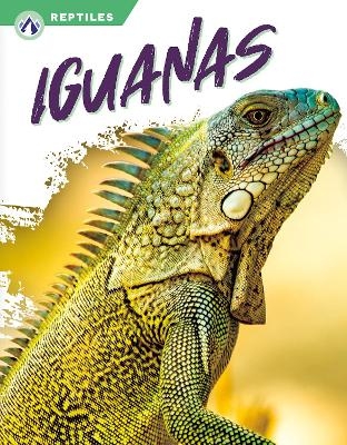 Iguanas - Shannon Jade