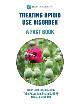 Treating Opioid Use Disorder--A Fact Book - Noah Capurso, Talia Puzantian, Daniel Carlat