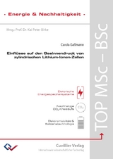 Einflüsse auf den Gasinnendruck von zylindrischen Lithium-Ionen-Zellen - Carola Gaßmann