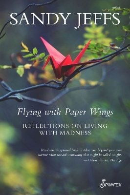 Flying with Paper Wings - Sandy Jeffs