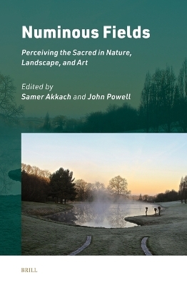 Numinous Fields: Perceiving the Sacred in Nature, Landscape, and Art - 