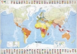 World Wall Map - Michelin Travel Publications; Michelin