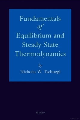 Fundamentals of Equilibrium and Steady-State Thermodynamics - N.W. Tschoegl