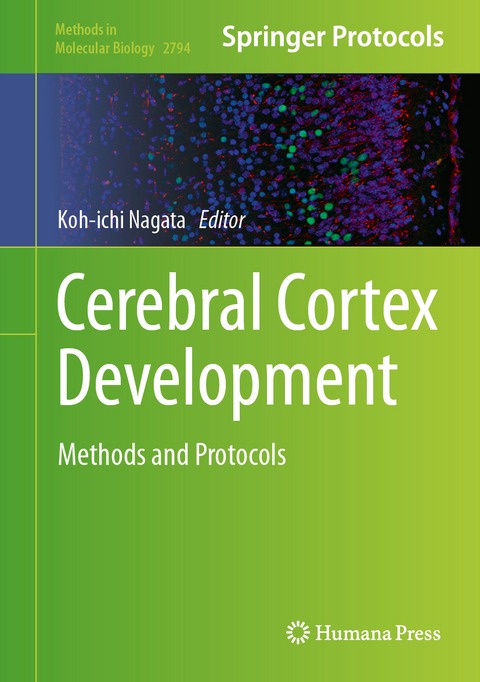 Cerebral Cortex Development - 