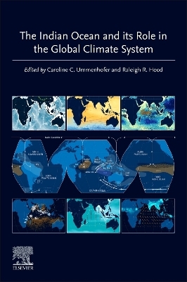 The Indian Ocean and its Role in the Global Climate System - 