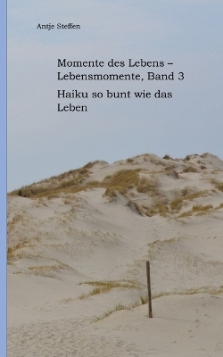 Momente des Lebens - Lebensmomente Band 3 - Antje Steffen