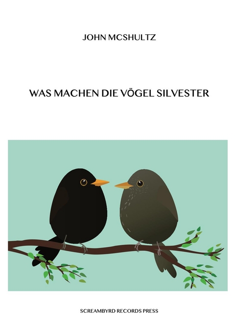 Was machen die Vögel Silvester - John McShultz