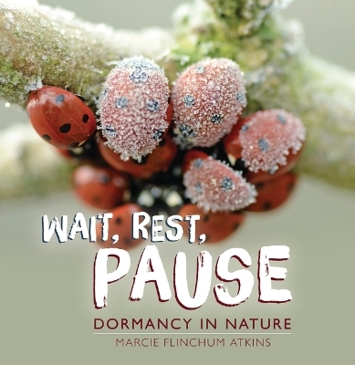 Wait, Rest, Pause - Marcie Flinchum Atkins