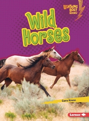 Wild Horses - Cara Krenn