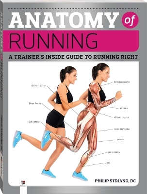 Anatomy of Running - Hinkler Pty Ltd