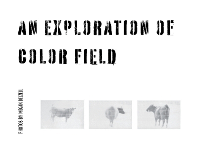 An Exploration In Color Field - Megan Delzell