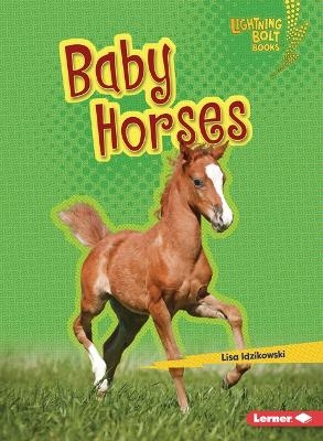 Baby Horses - Lisa Idzikowski