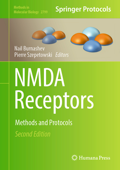 NMDA Receptors - 